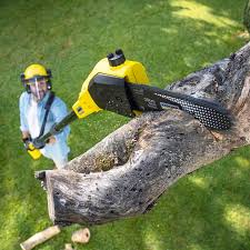 Best Soil Testing and Treatment  in Santa Rosa, NM