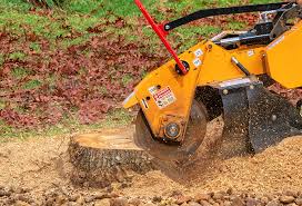 Best Organic Lawn Care Solutions  in Santa Rosa, NM